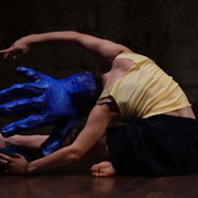 Spectacles Sauvages : il y en a même pour les plus petits !