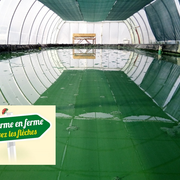 Spiruline - De Ferme En Ferme En Val De Dagne
