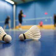 Sport Seniors en plein air : badminton