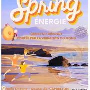 SPRING Energie - 1ère édition