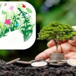 Stage - 4 jours pour se construire une vie éco responsable