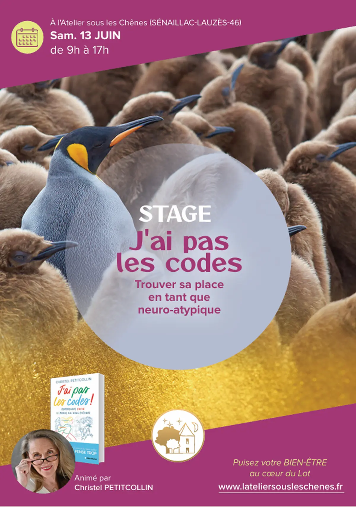 Stage à l'Atelier sous les Chênes -  J'ai pas les codes, trouver sa place en tant que neuro-atypique
Avec Christelle Petitcollin