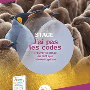 Stage à l'Atelier sous les Chênes -  J'ai pas les codes, trouver sa place en tant que neuro-atypique
Avec Christelle Petitcollin