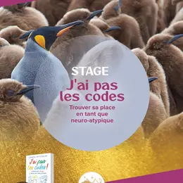 Stage à l'Atelier sous les Chênes -  J'ai pas les codes, trouver sa place en tant que neuro-atypique
Avec Christelle Petitcollin