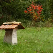 Stage abeilles