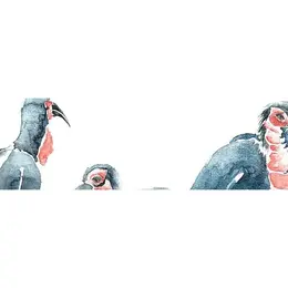 Stage aquarelle sur le vif