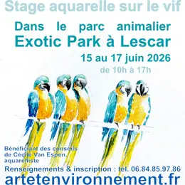 Stage aquarelle sur le vif