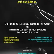 Stage Art du/des baton(s) à Vire Normandie