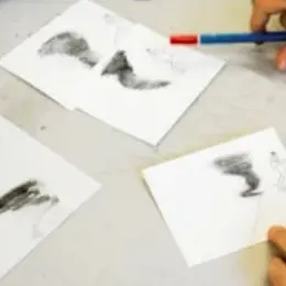 Stage artistique : cinéma d’animation