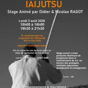 Stage Arts martiaux traditionnels Japonais Aikijo Aikiken Iaijustu