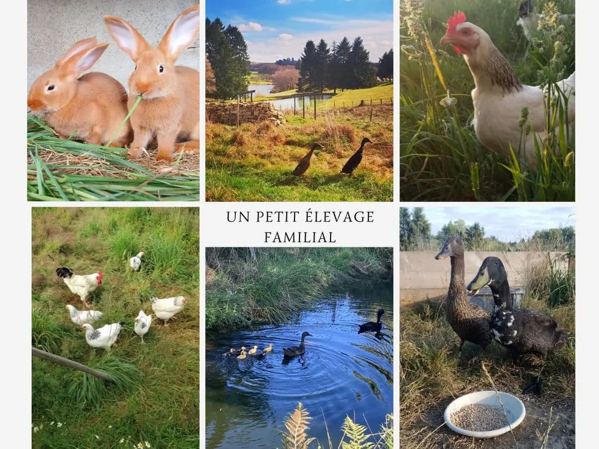 Stage Autonomie et Permaculture | Semaine en immersion