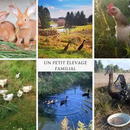Stage Autonomie et Permaculture | Semaine en immersion