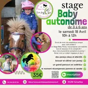 Stage baby poney