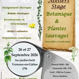Stage Botanique et Plantes sauvages