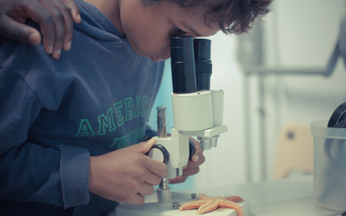 Stage Brico sciences