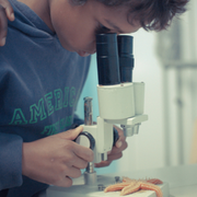 Stage Brico sciences