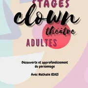 Stage Clown Adulte