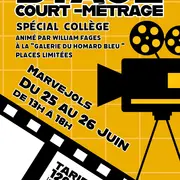Stage Court-Métrage