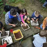 Stage créatif Il était une fois en forêt