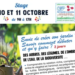 Stage création de jardin