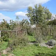 Stage création de jardin