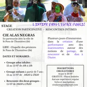 Stage-Création Participative Avec La Cie Alas Negras