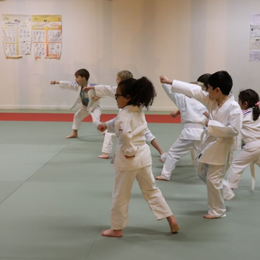 Stage croisé Petits architectes & Baby judo 3-4 ans