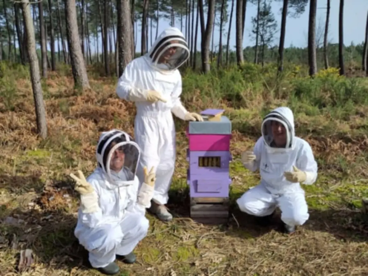Stage d'apiculture à St-Jean-d'Illac (33)
