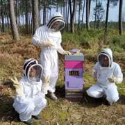Stage d'apiculture à St-Jean-d'Illac (33)