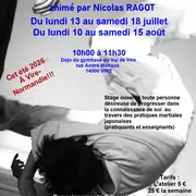 Stage d'arts martiaux traditionnels Japonais - Aikido à Vire Normandie