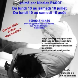 Stage d'arts martiaux traditionnels Japonais - Aikido à Vire Normandie