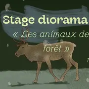 Stage d'arts plastiques - Diorama