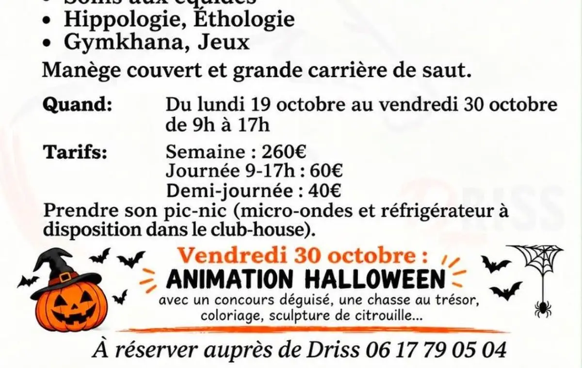 Stage d'automne, Balades aux Ecuries du Dropt