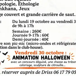 Stage d'automne, Balades aux Ecuries du Dropt