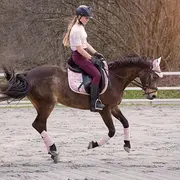 Stage d'équitation