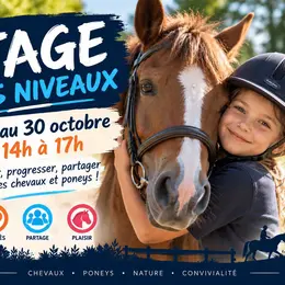 Stage d'équitation - Tous niveaux