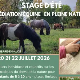 Stage d'été médiation équine en plein nature