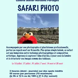 Stage d'été - Safari photo
