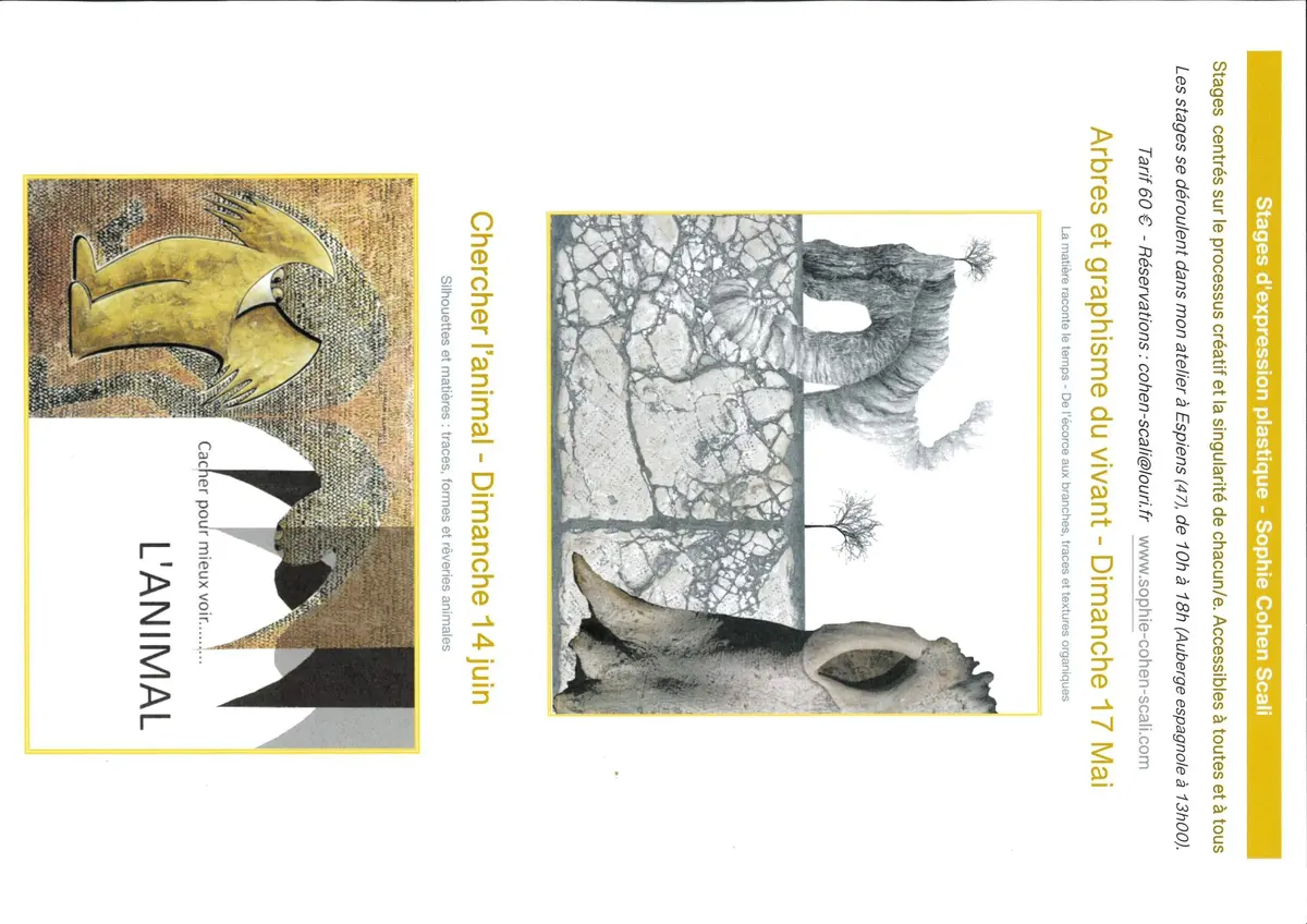 Stage d'expression plastique : Arbres et graphisme du vivant