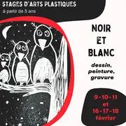Stage d'Hiver : Noir et Blanc