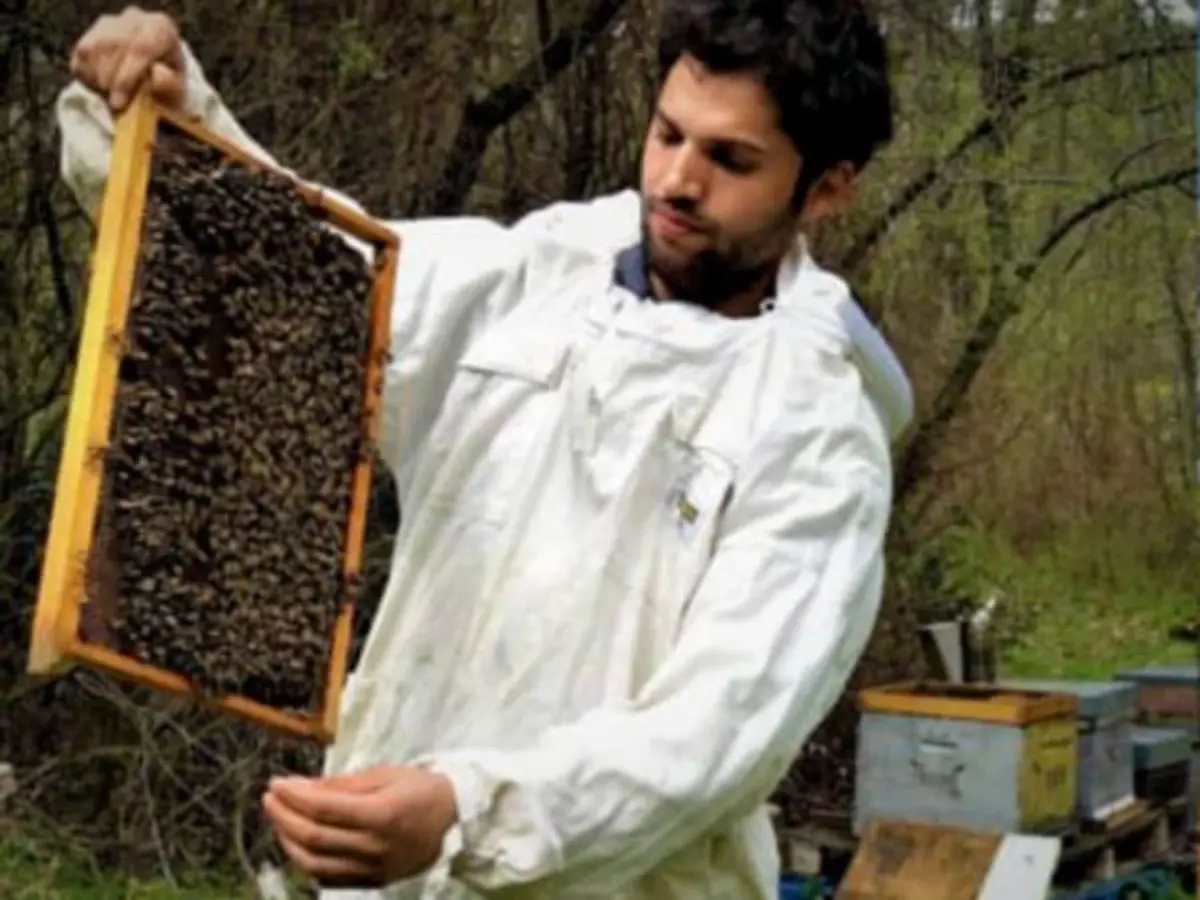 Stage d'initiation à l'apiculture à Francillon-sur-Roubion (26)