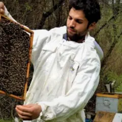 Stage d'initiation à l'apiculture à Francillon-sur-Roubion (26)