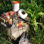 Stage d'initiation à la taille des arbres