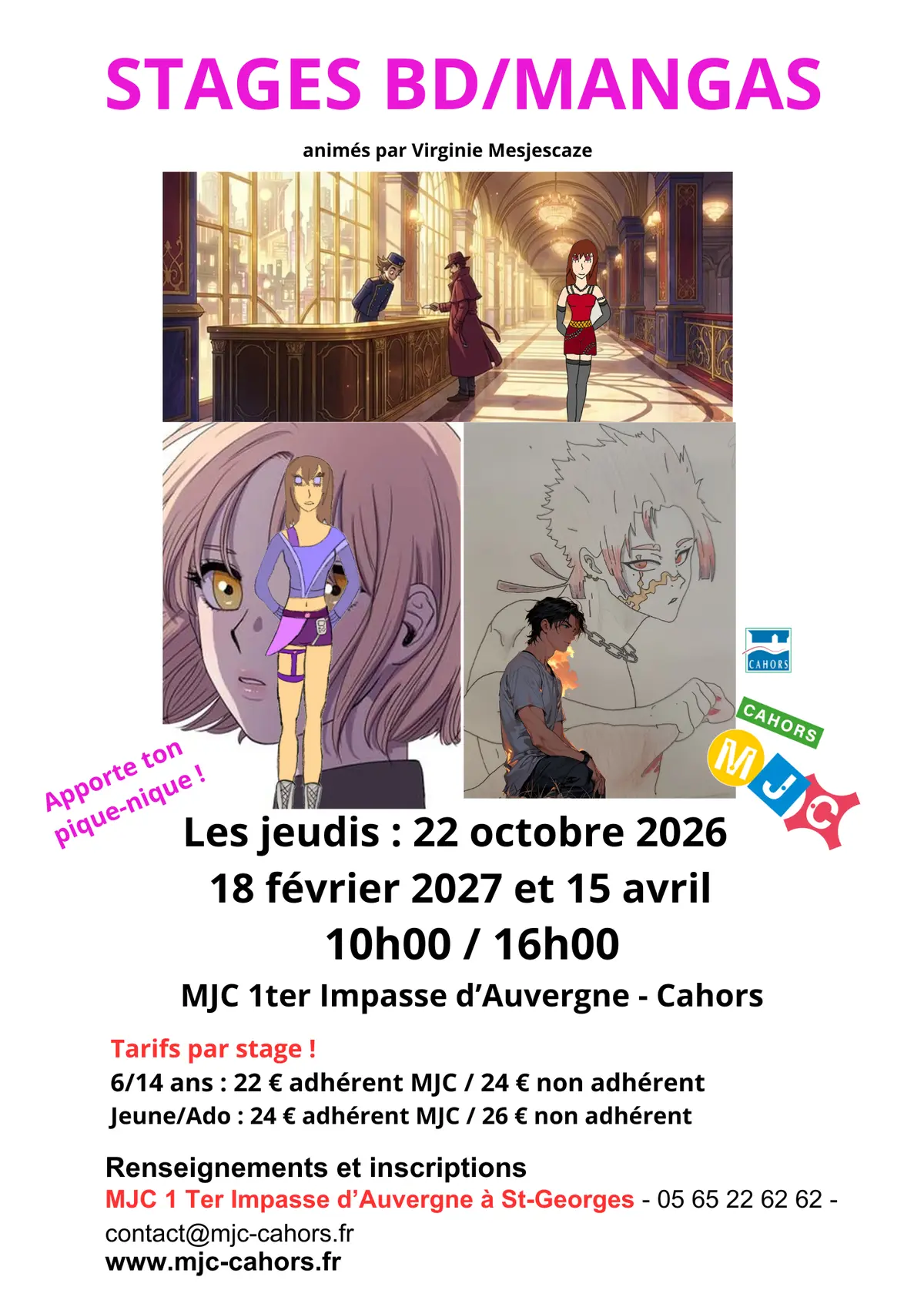Stage de BD/Mangas à la MJC