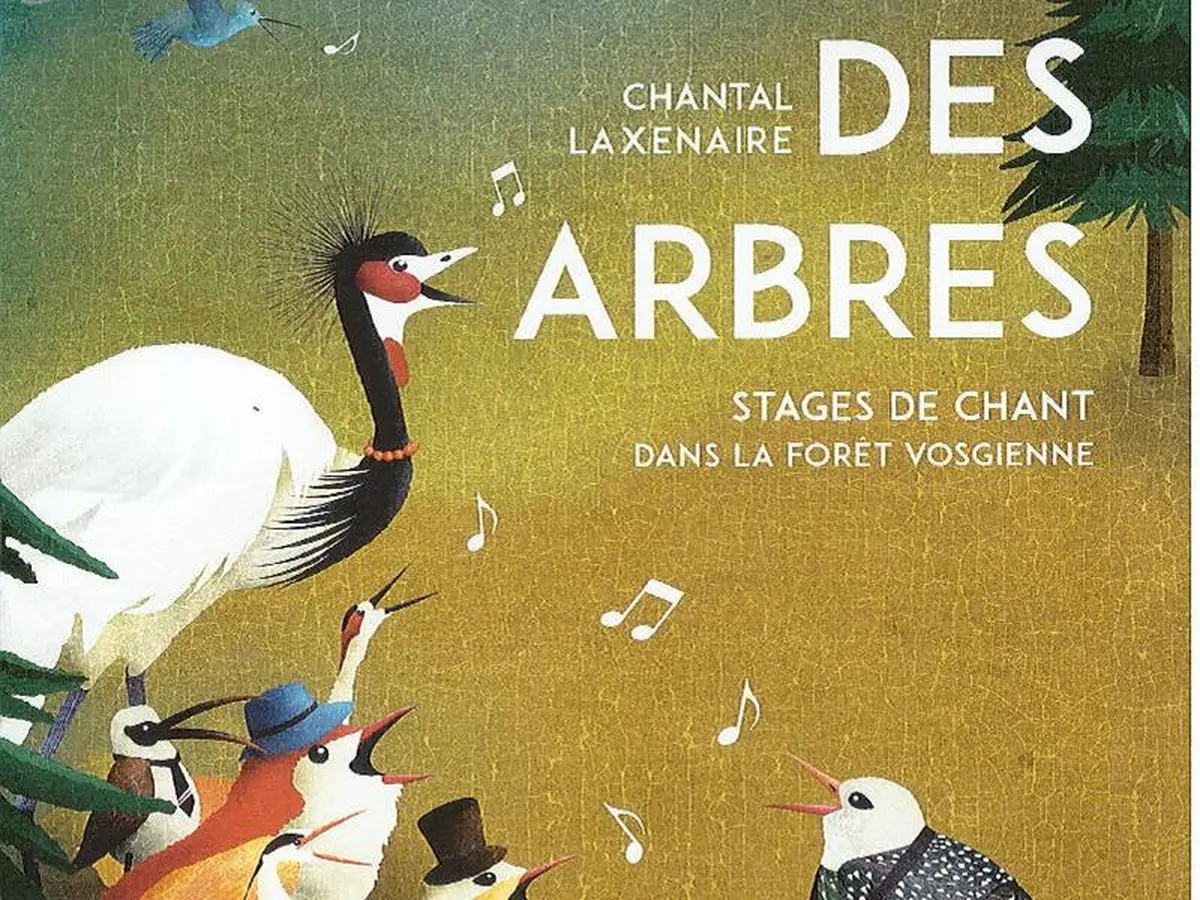 Stage de chant
