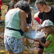 Stage de Chercheur d'or