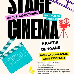 Stage de cinéma