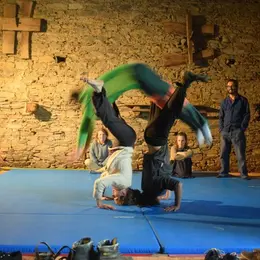 Stage de cirque
