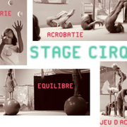 Stage de cirque