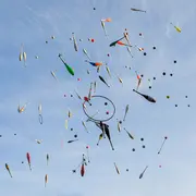 Stage de cirque d'été